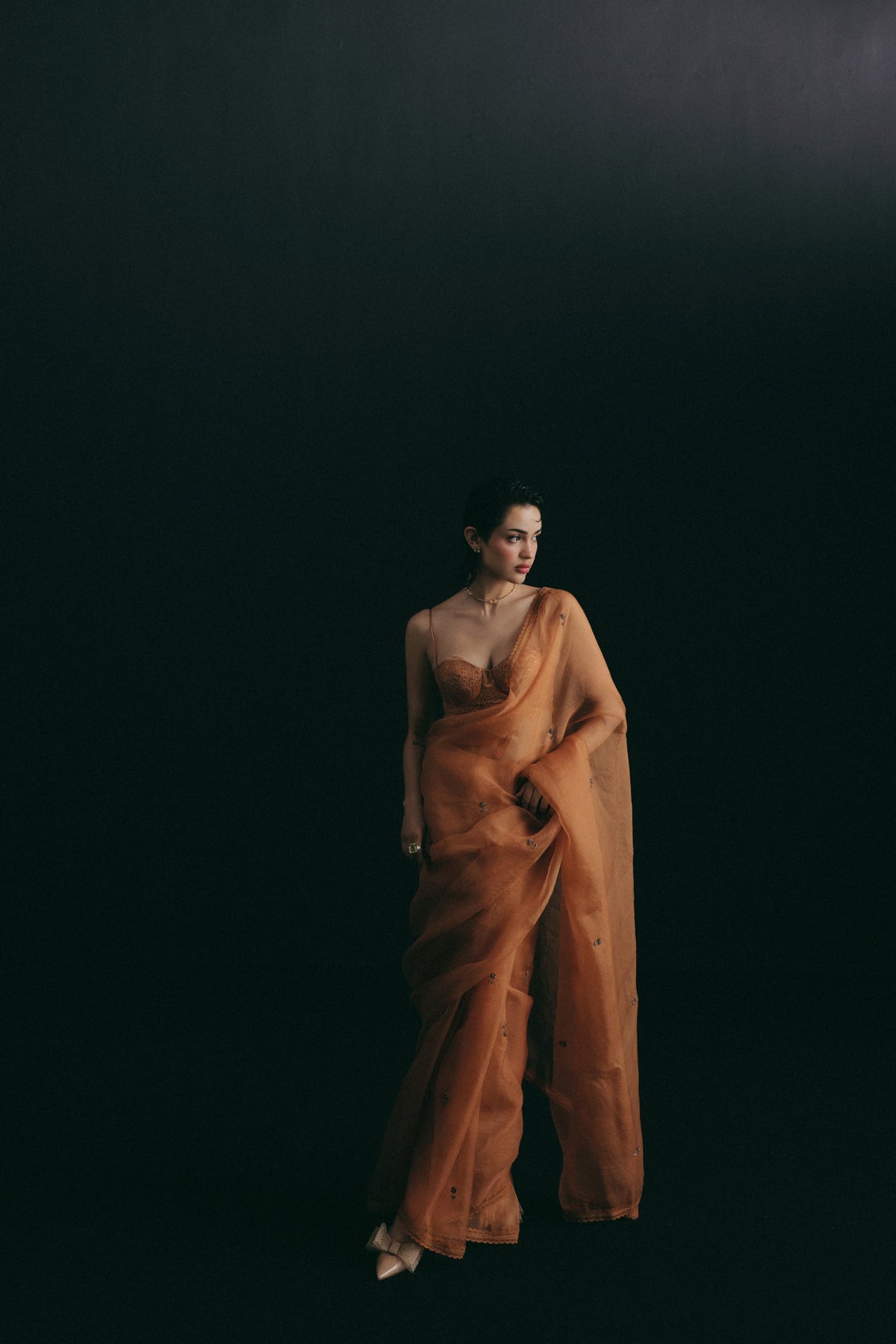 Beaded Floral Embroidery, Organza & Lace with Cotton Satin, Saree Set, Underwired Blouse Silhouette