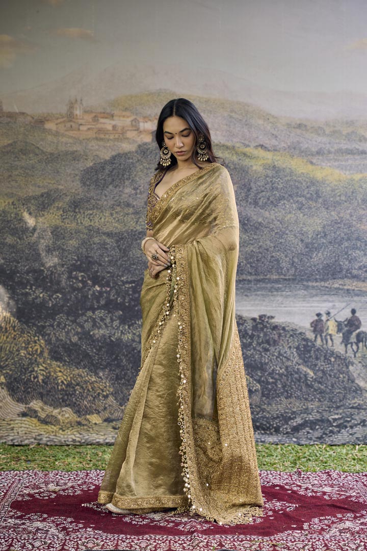 Zarvika Fusion Tissue Saree Set