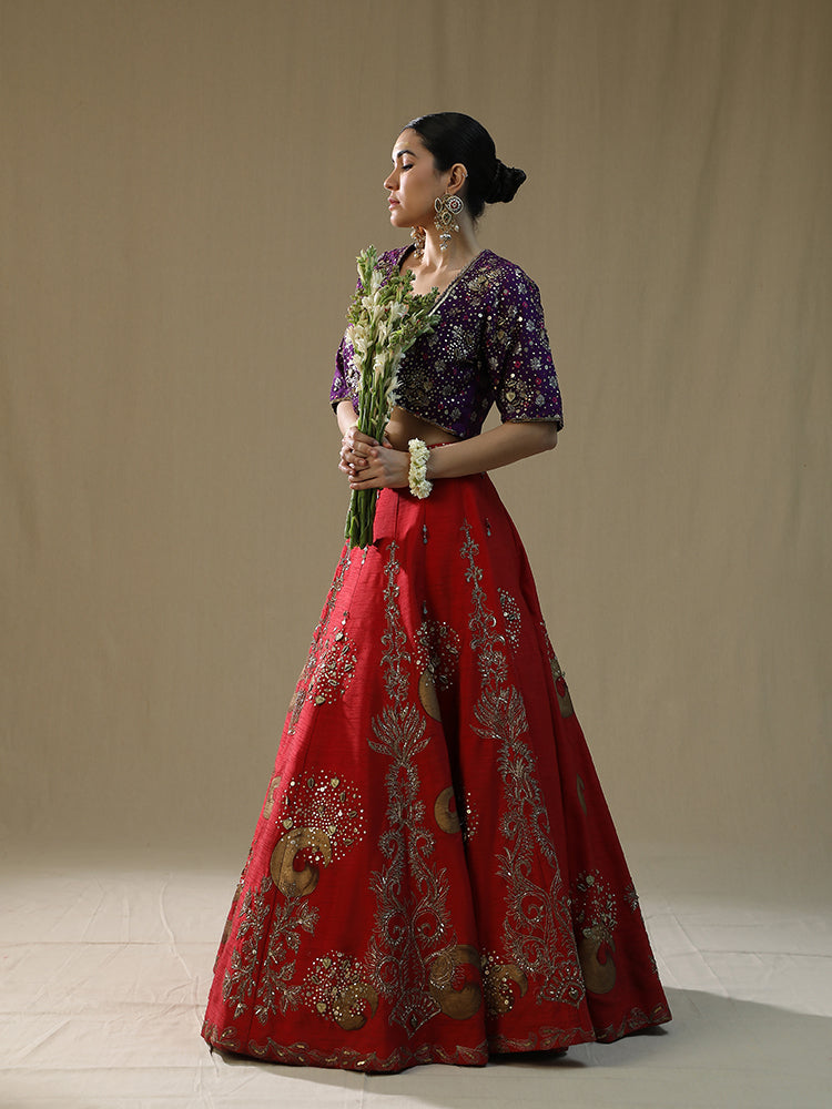 Red Brushstroke lehnga set