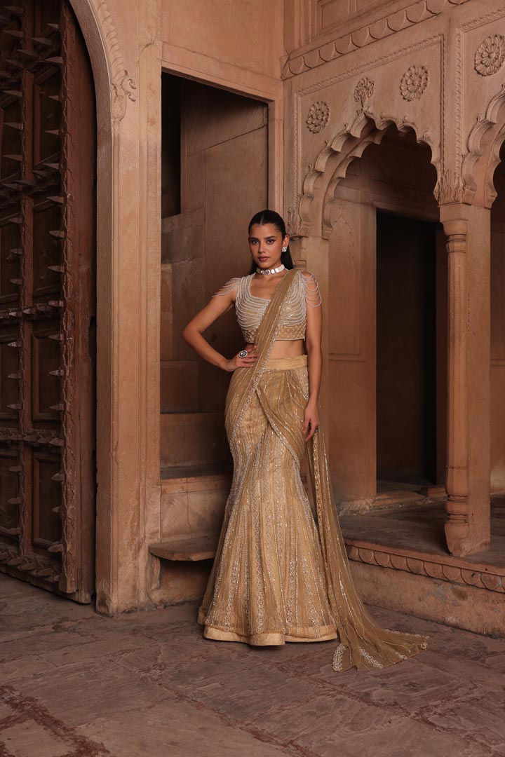 Golden fish draped saree