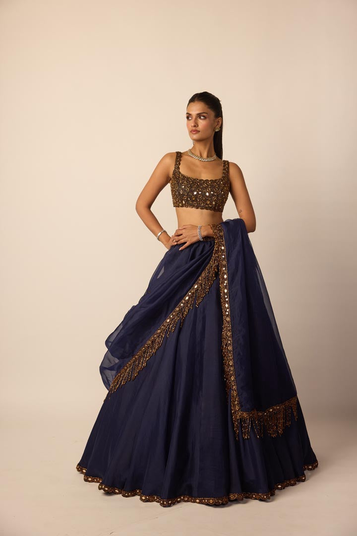 Deep Blue Tassel Dupatta Lehenga Set