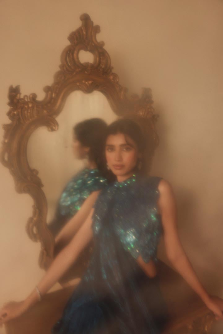 Blue Hand Embroidered Feathers Drape Saree Gown