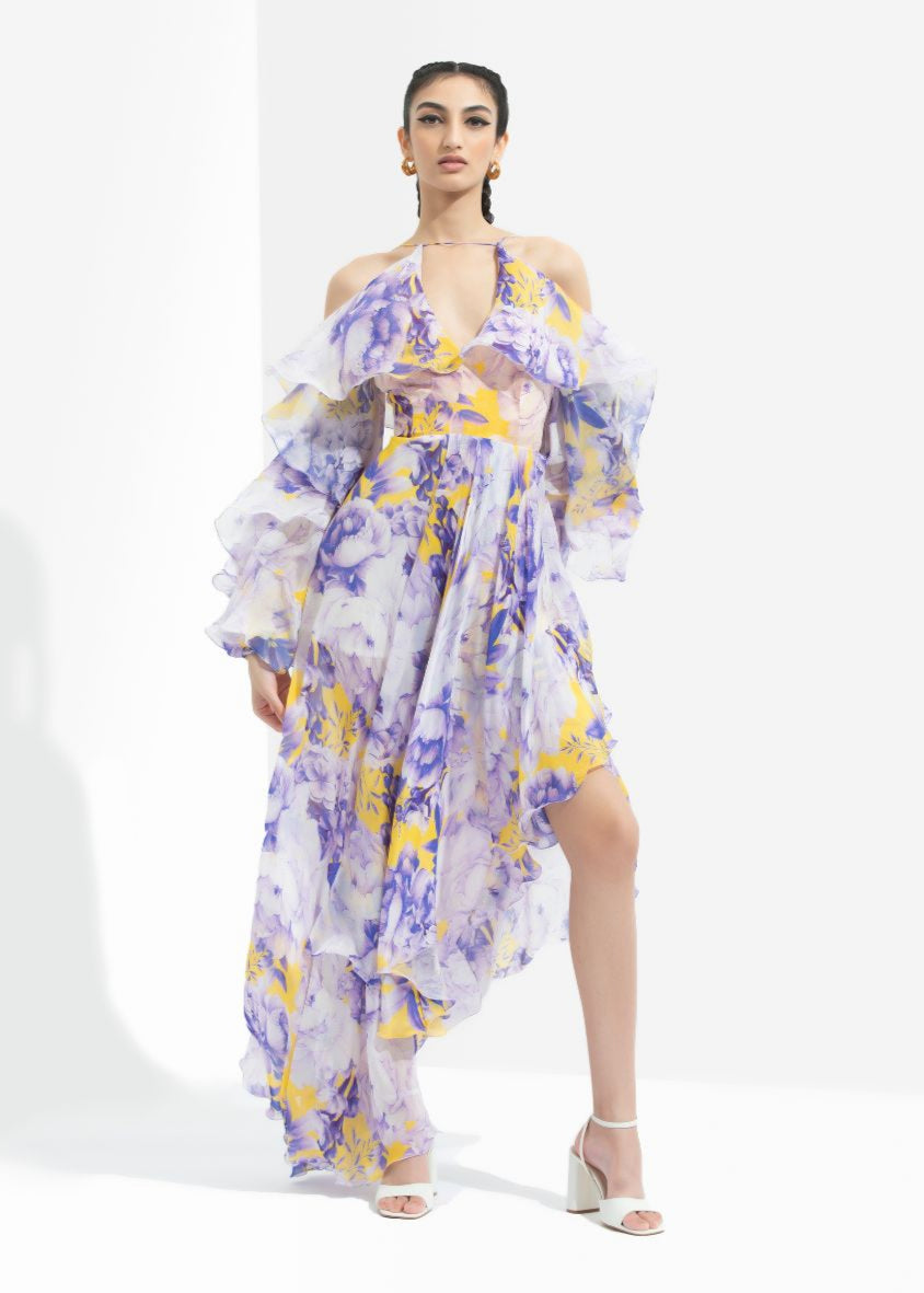 Sumire Printed Butterfly Dress