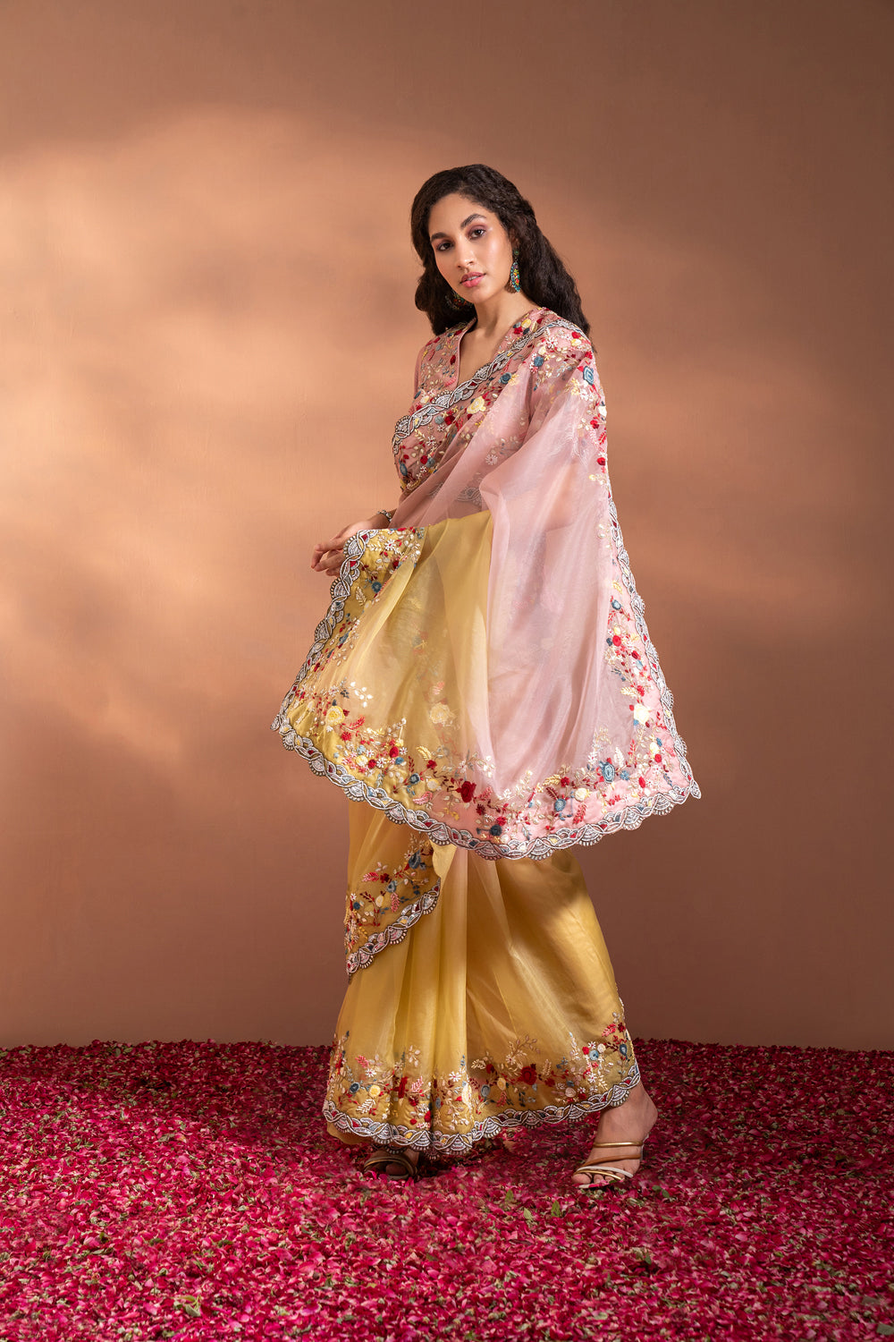 The Saree In Organza With Sequins, Moti & Threadwork In A Pastel Gradience Shade.