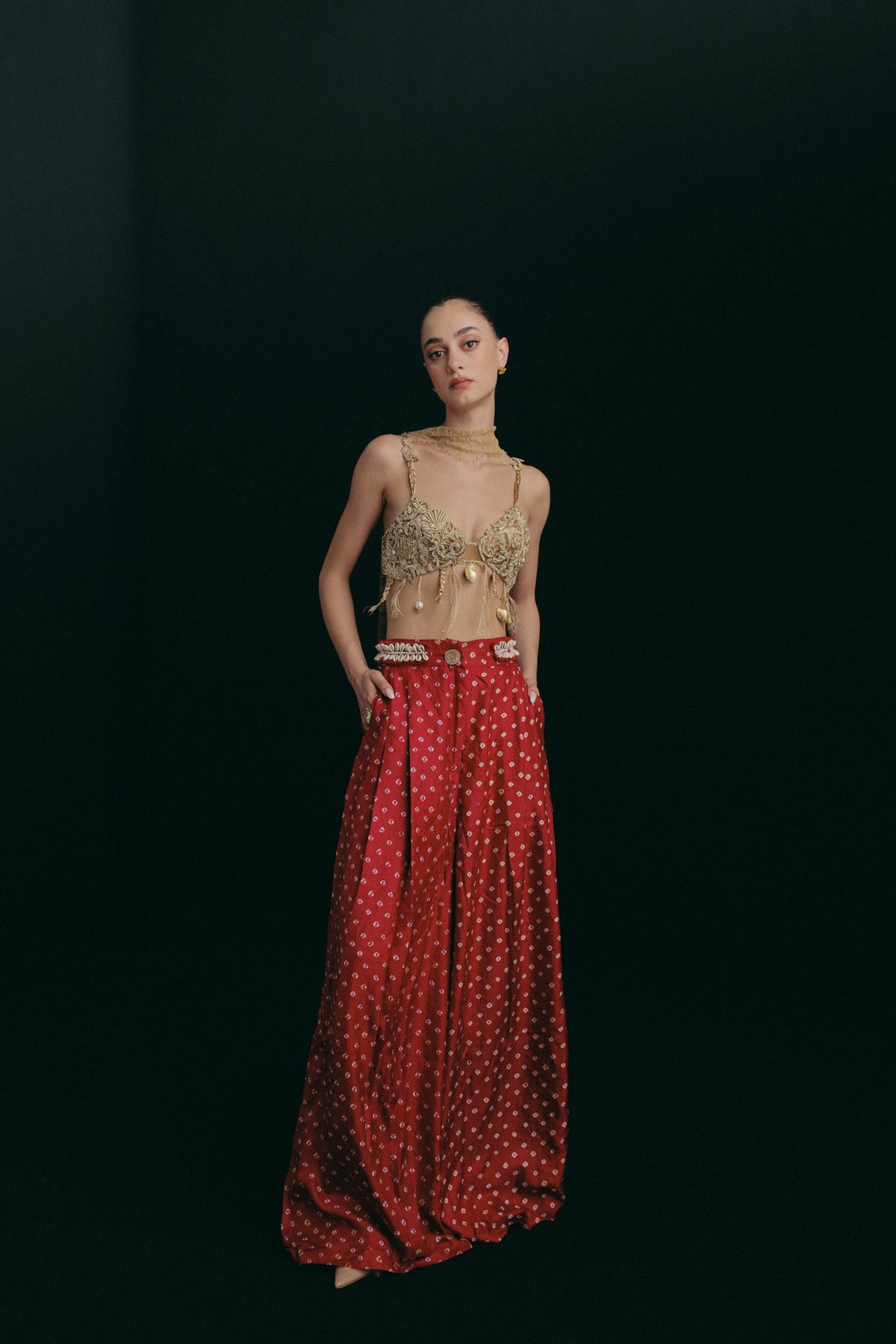 Zardosi Cutwork Embroidery, Silk & Handwoven Bandhini Silk, Pant Set, Blouse Silhouette