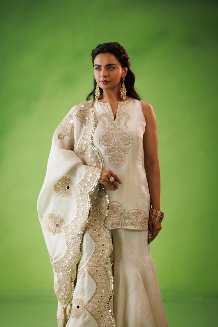 Beige tissue flared sharara set