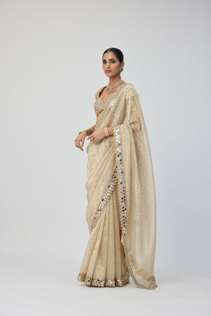 Golden Shimmer Organza saree set