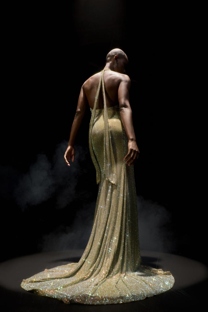 Elara Gown