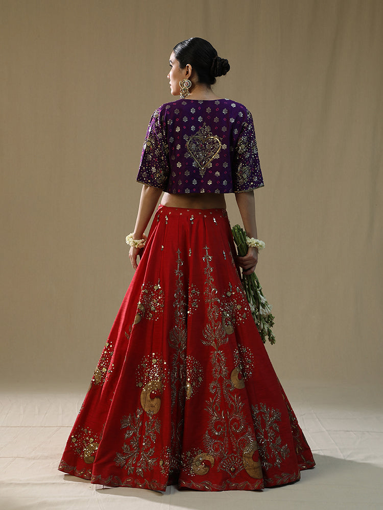 Red Brushstroke lehnga set
