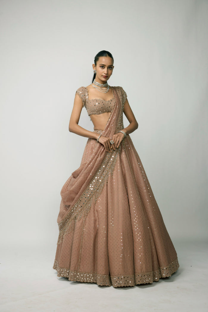Bronze Ros� Sequins Embroidered Lehenga Set