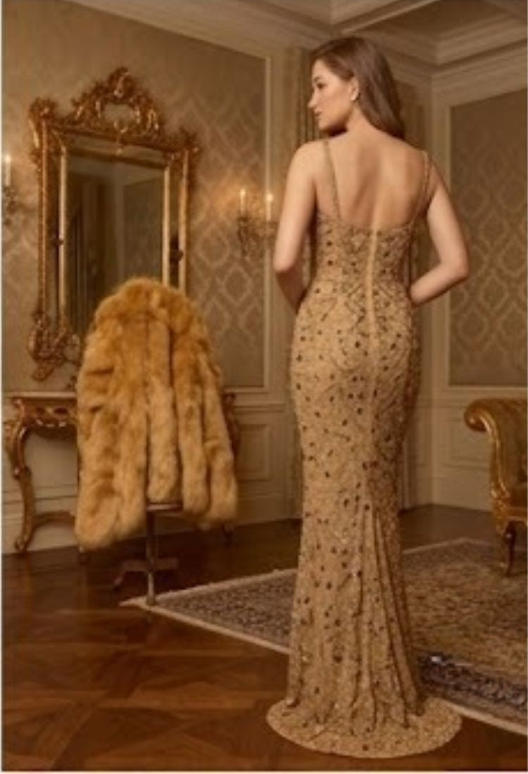 Gold embroidered heavy Gown