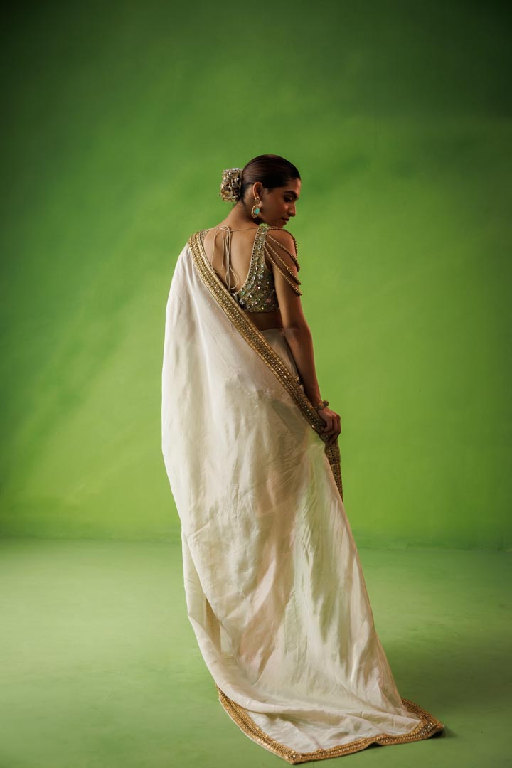 Beige tissue stone embellished saree set
