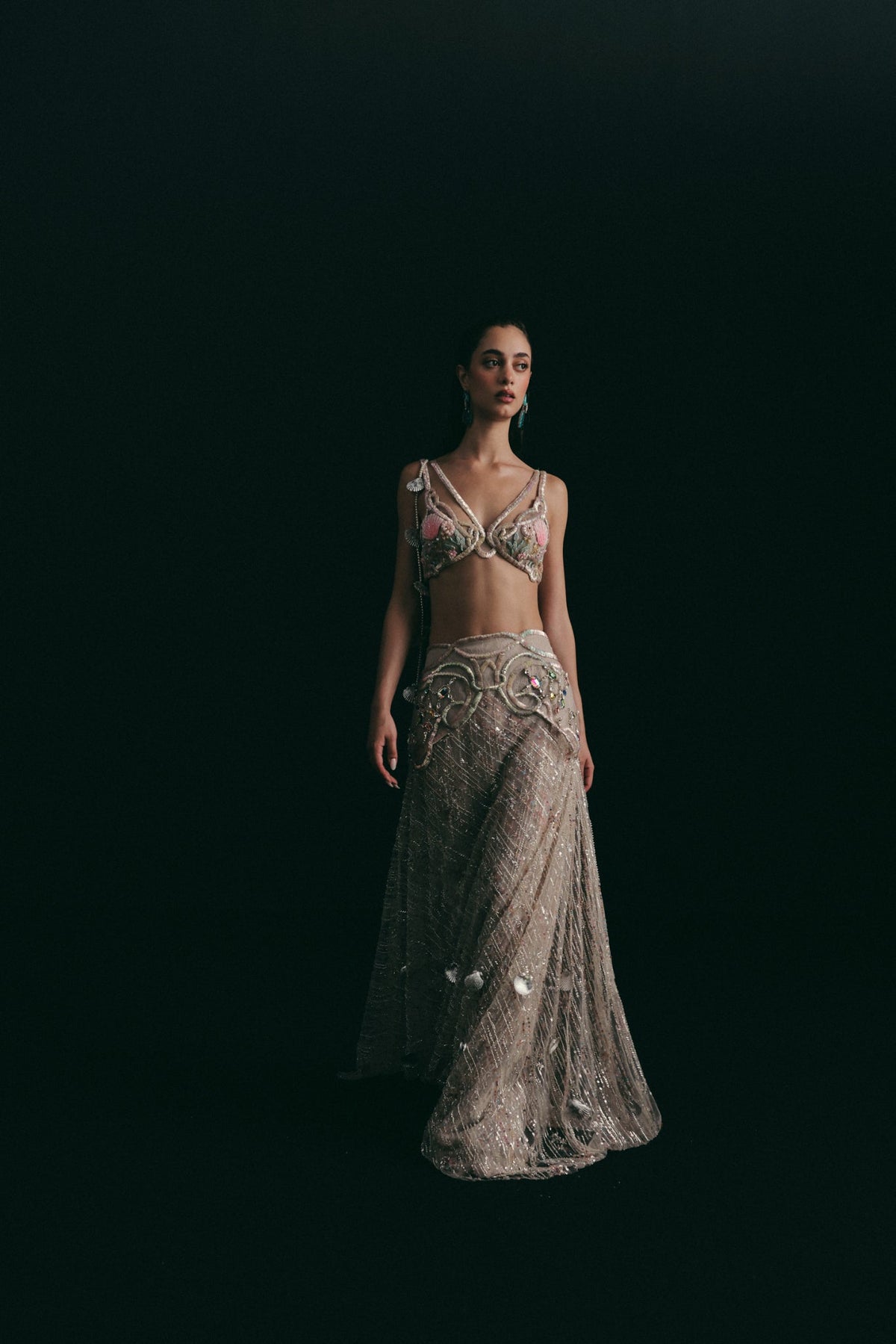 Beaded & Mukaish Embroidery, Tulle & Silk with Lace Detailing, Skirt Set, Crop Silhouette