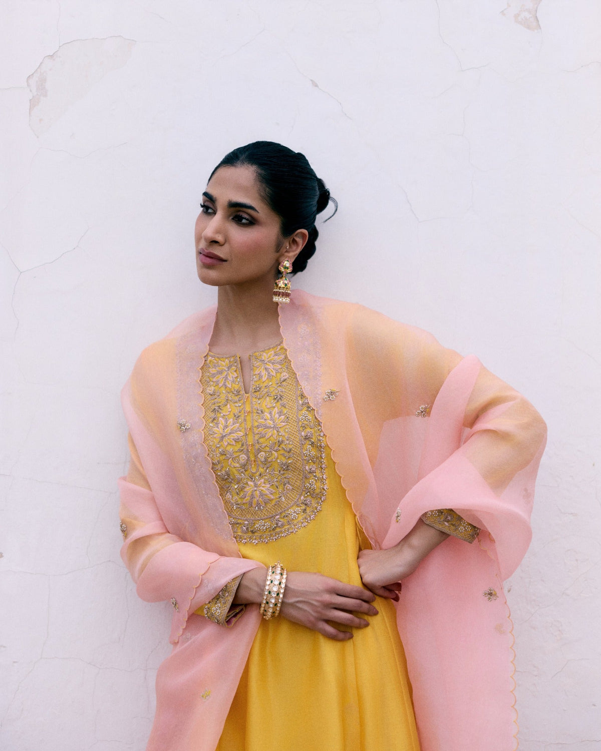 Sunlit Heirloom Anarkali