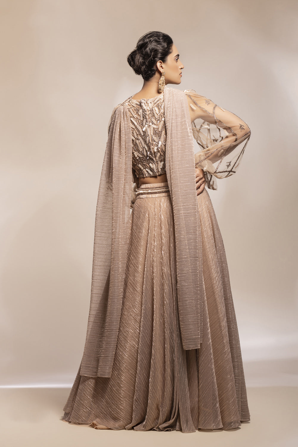 Shimmering Georgette Skirt With Embellished Blouse - Auraya Fashion 