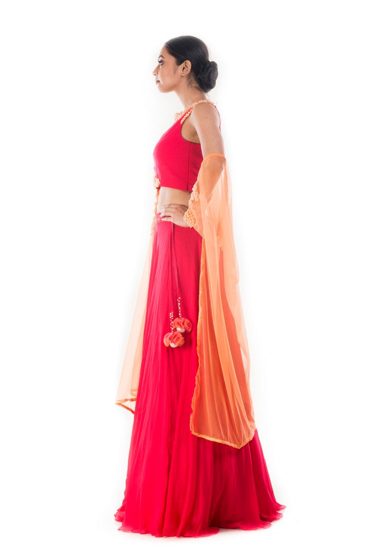 Roohi Lehenga Set