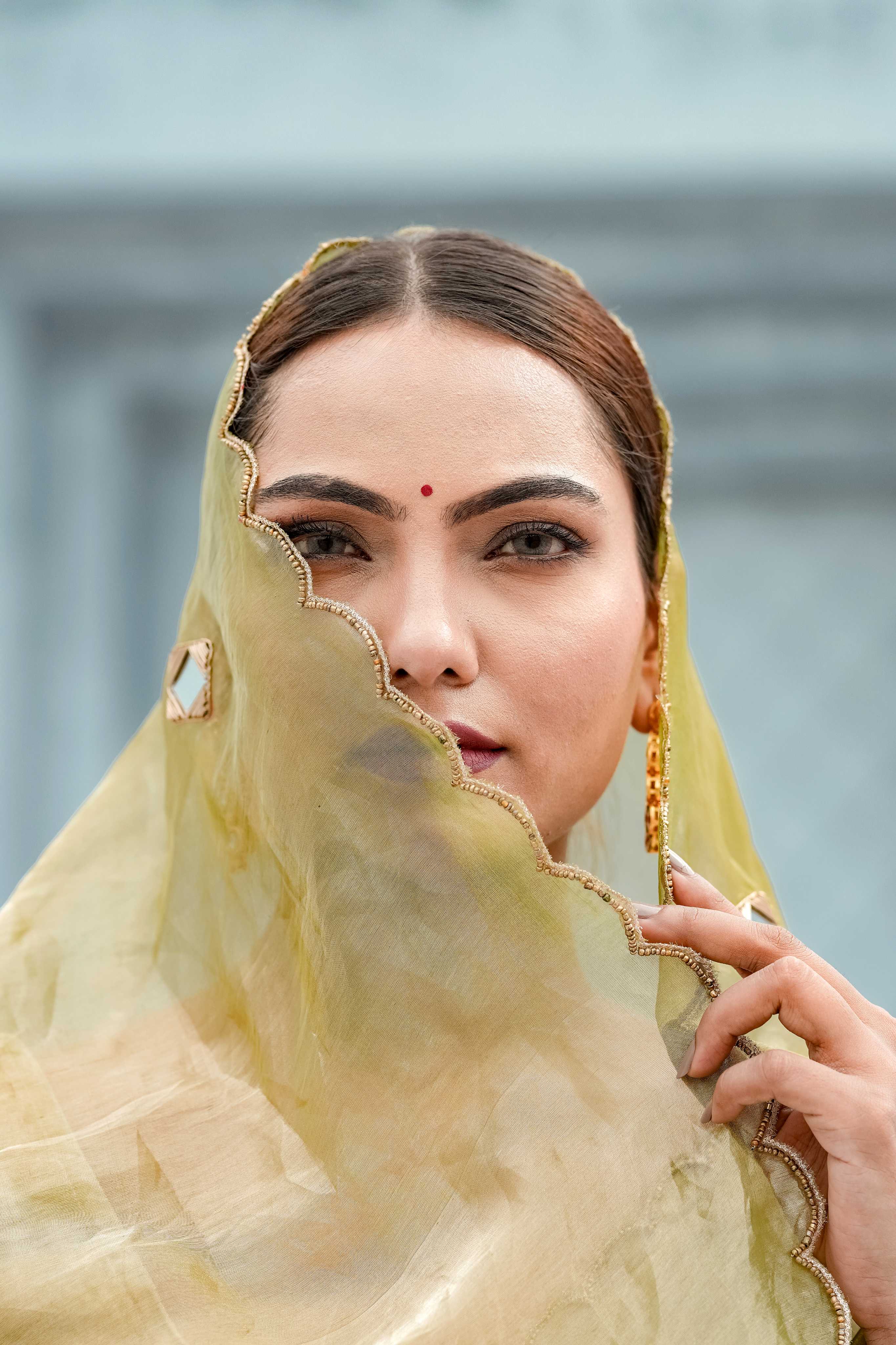Pure tissue saree with mirror Dabka work with blouse