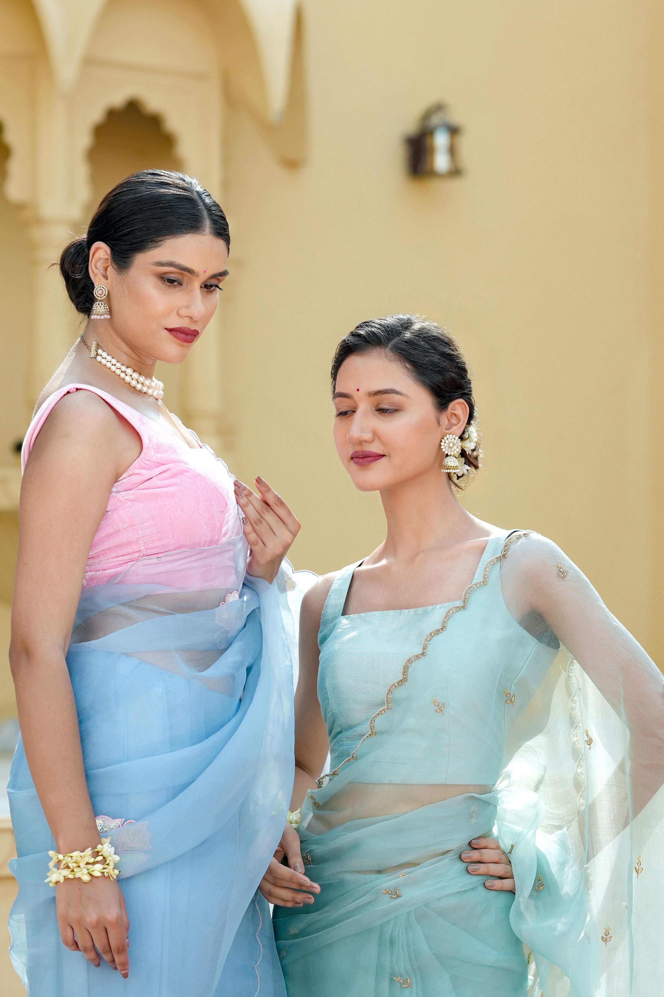Pure orgnza saree with Dabka hand work