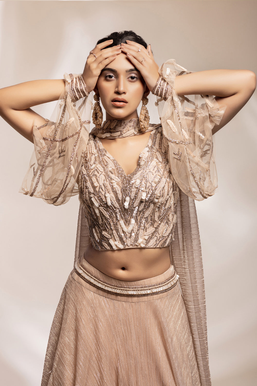 Shimmering Georgette Skirt With Embellished Blouse - Auraya Fashion 