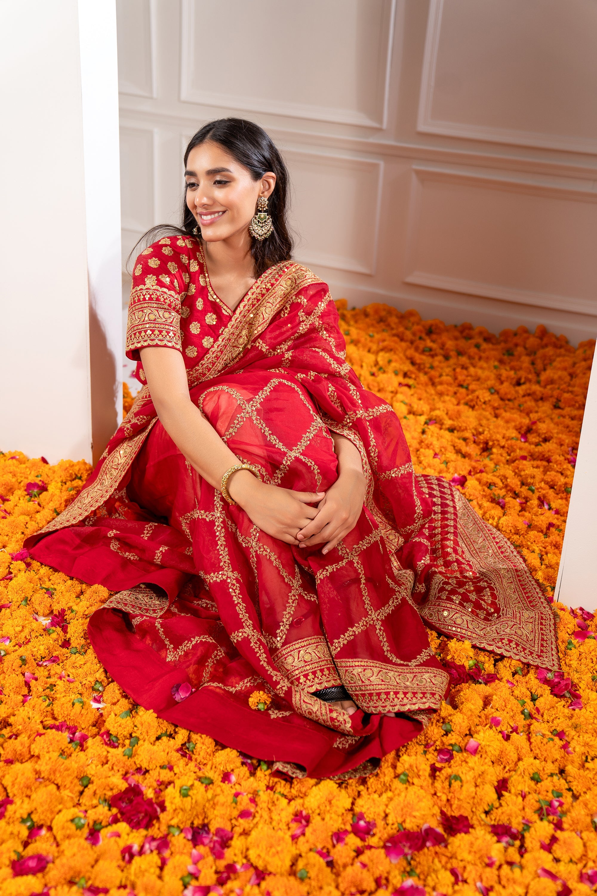 Crimson Red Organza Saree with Pita Work