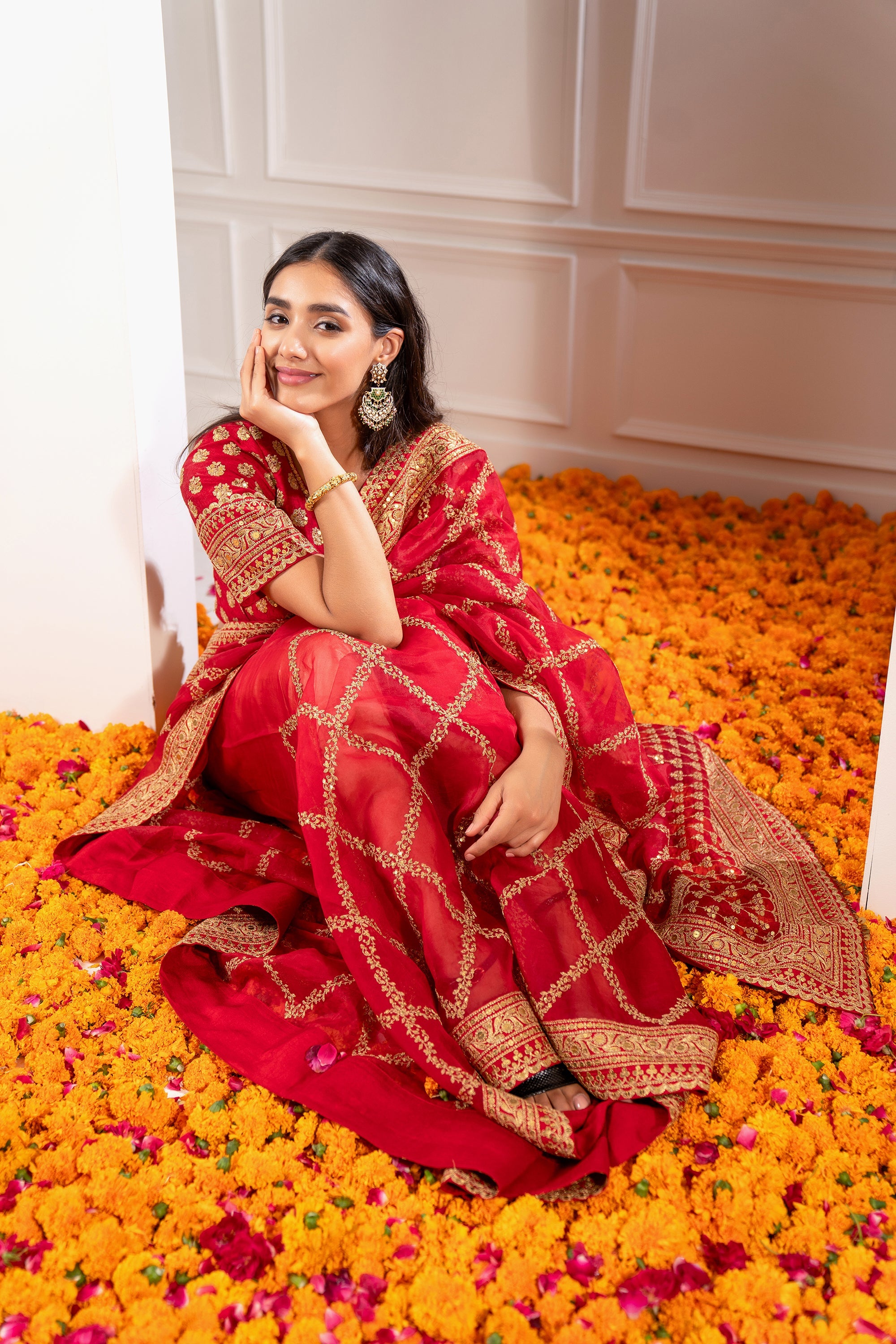 Crimson Red Organza Saree with Pita Work