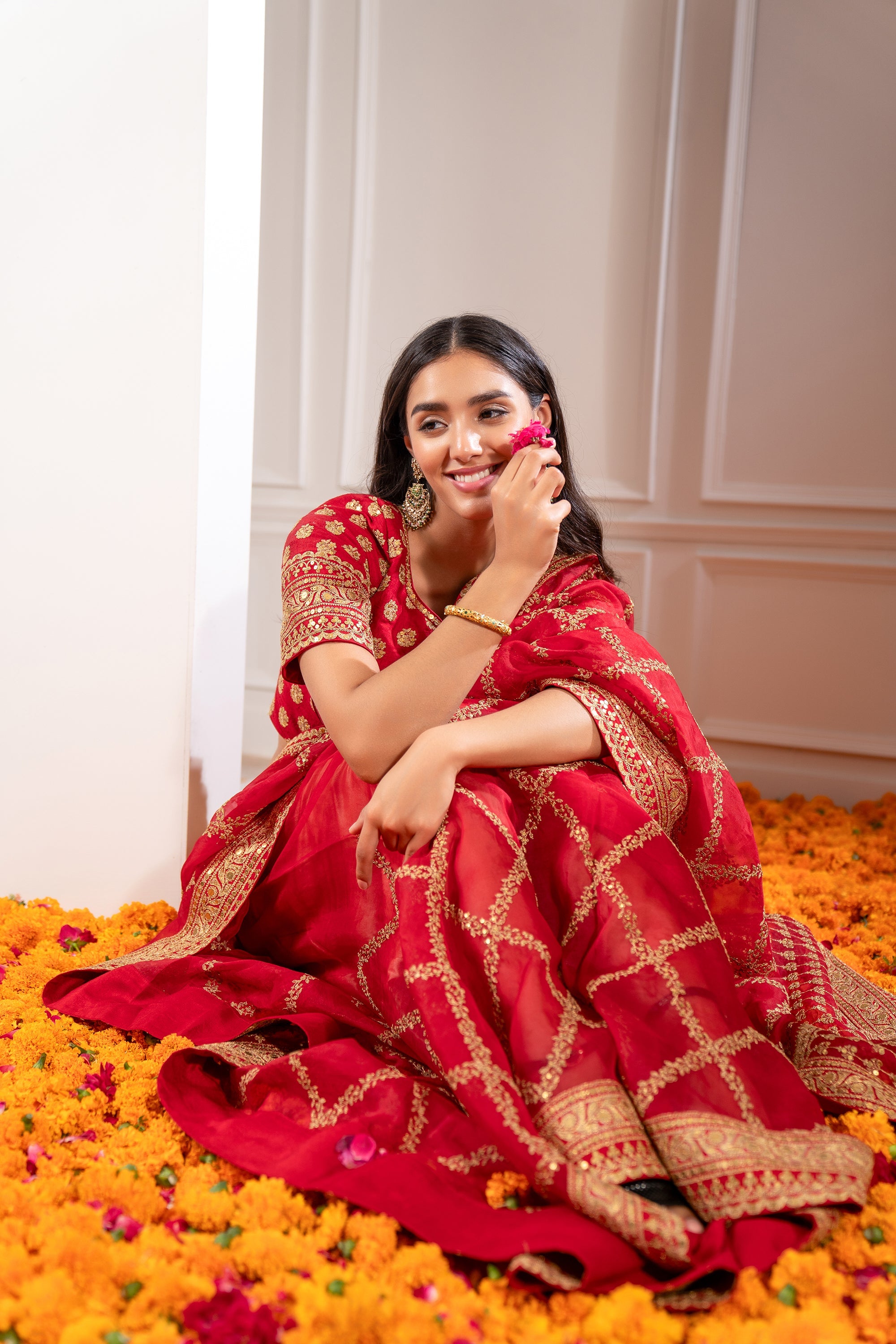 Crimson Red Organza Saree with Pita Work