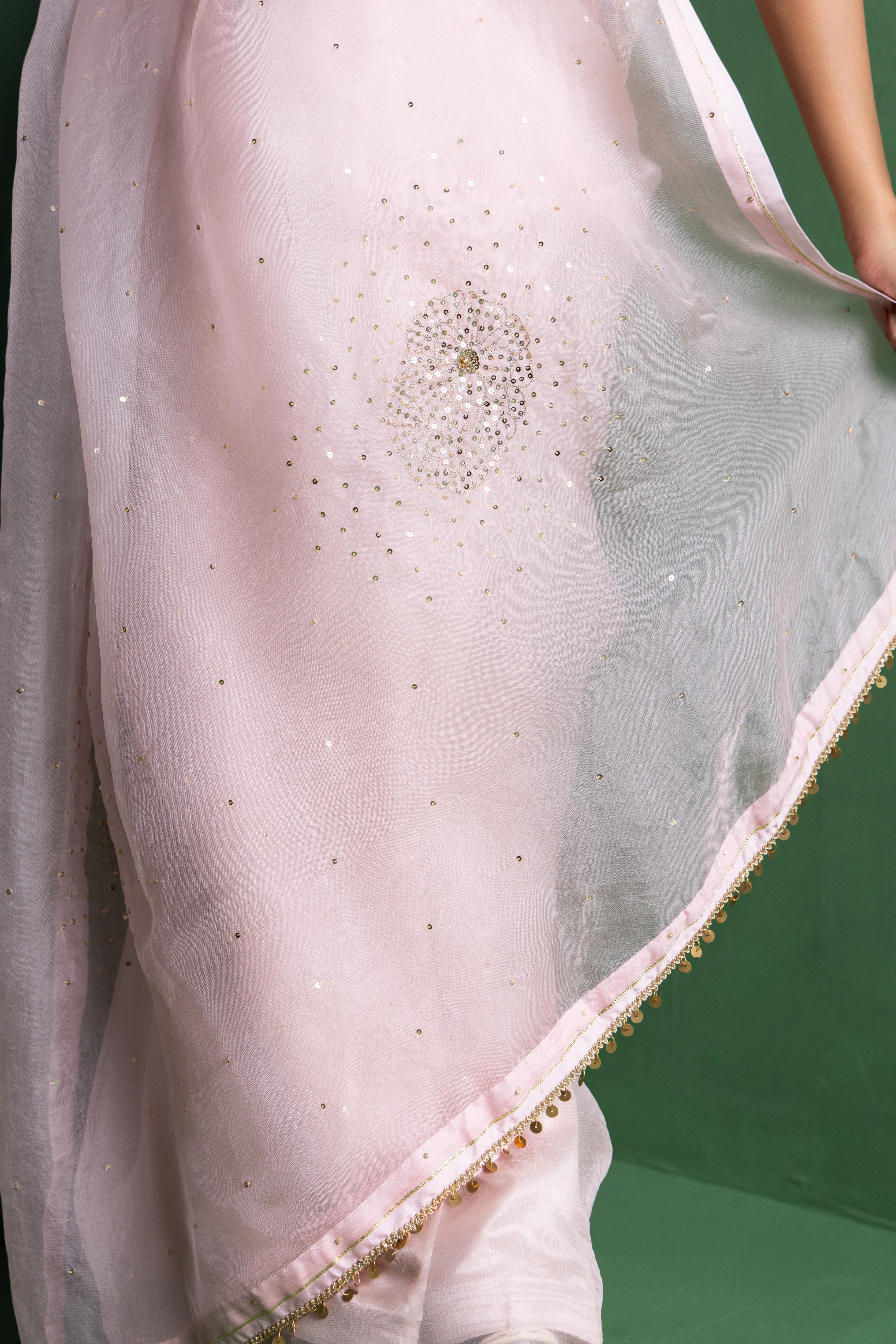 Baby Pink Peony Organza Saree