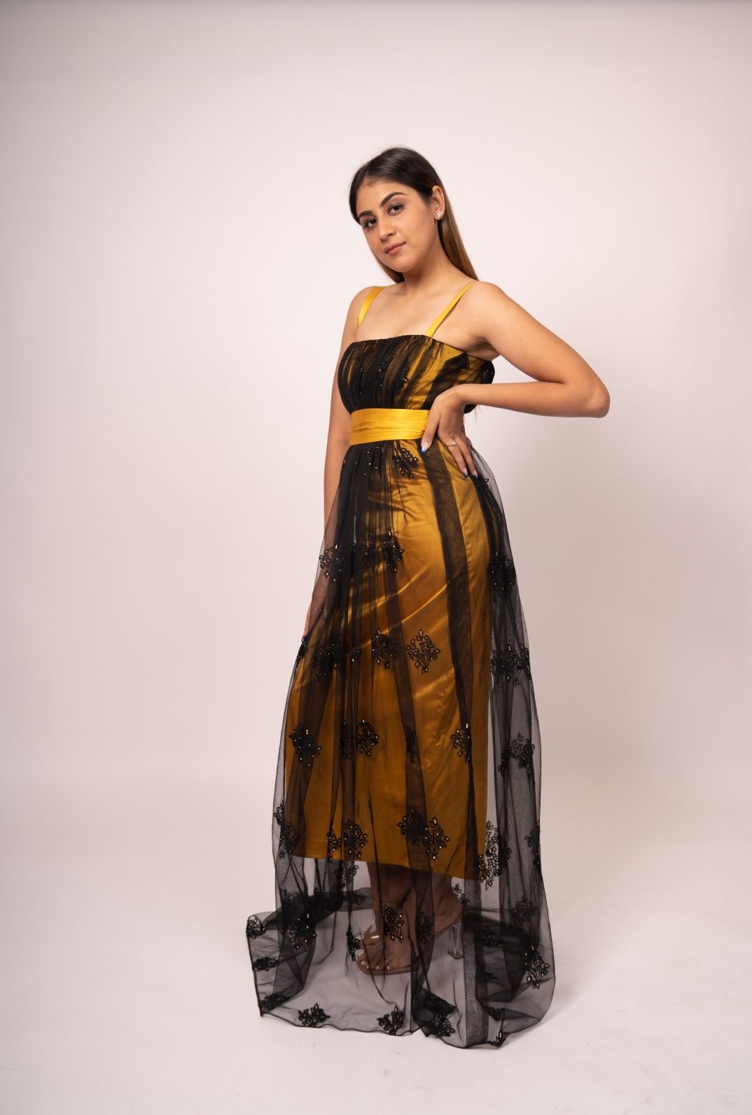 Victorian Archive Pure Net and Satin Modern Gown for Luxury Occasions