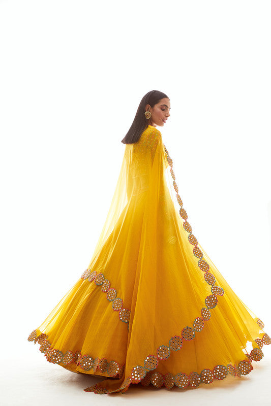 Image of Mustard Applique Lehenga Set