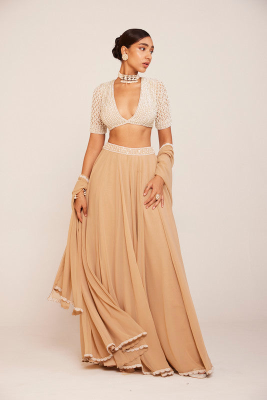 Image of Beige Lehenga Pants Set