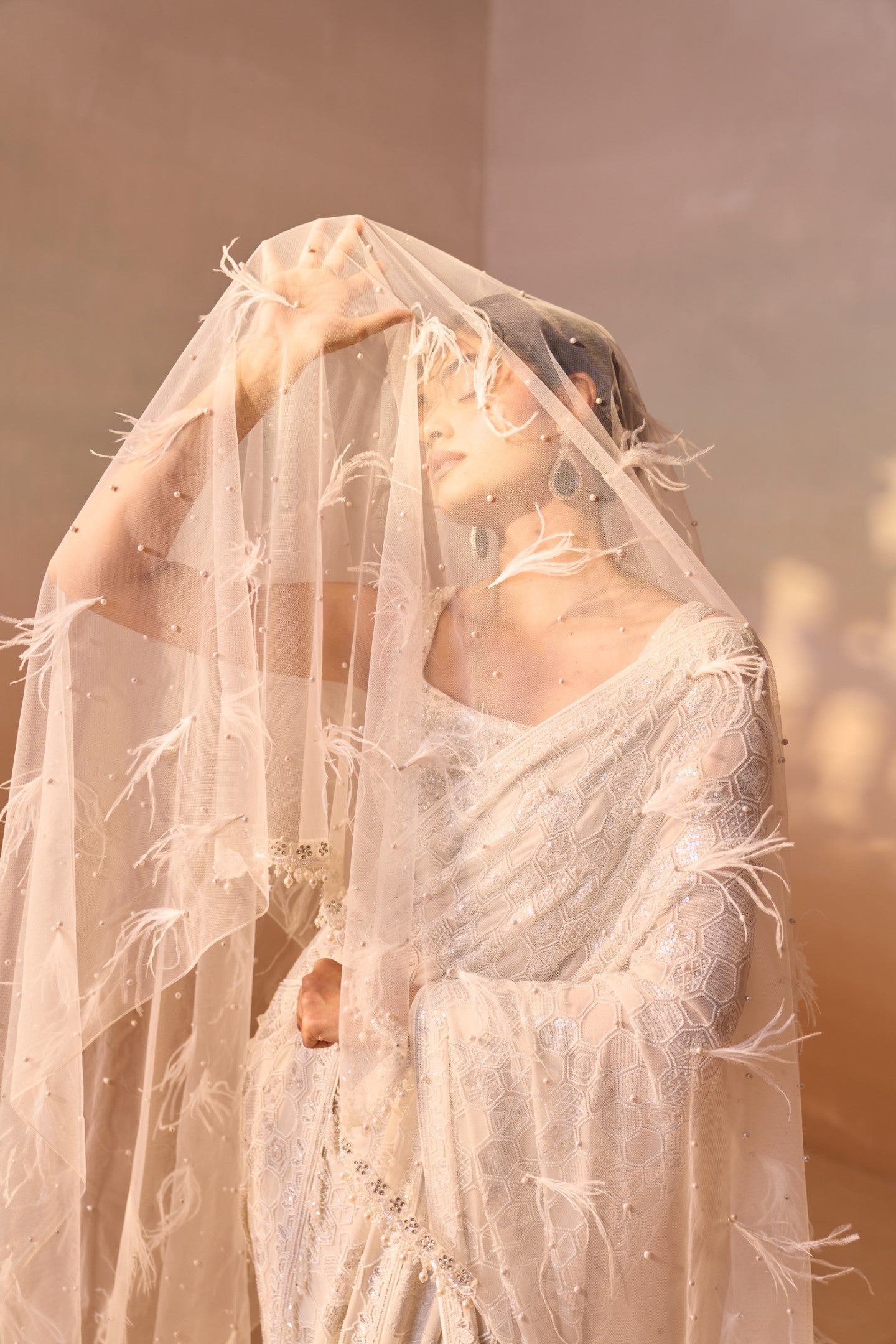 IVORY GEORGETTE HEAVY SAREE