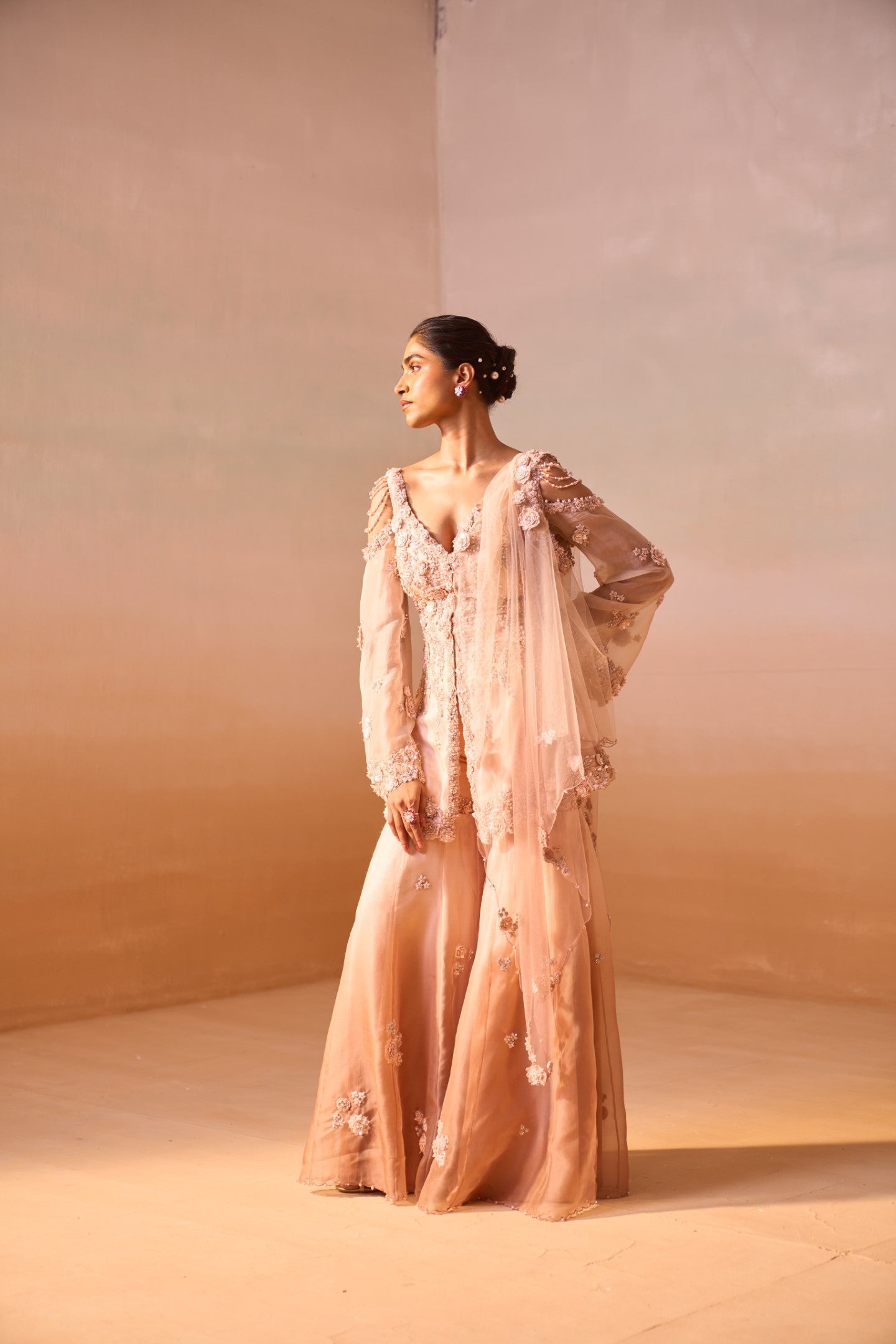 Dusty Rose Ombre Organza Garara Set with 3D Floral Peplum