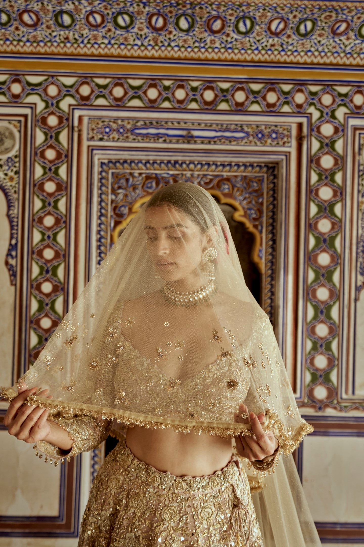 Champagne Gold Net Lehenga Choli with Zari & Dabka Work