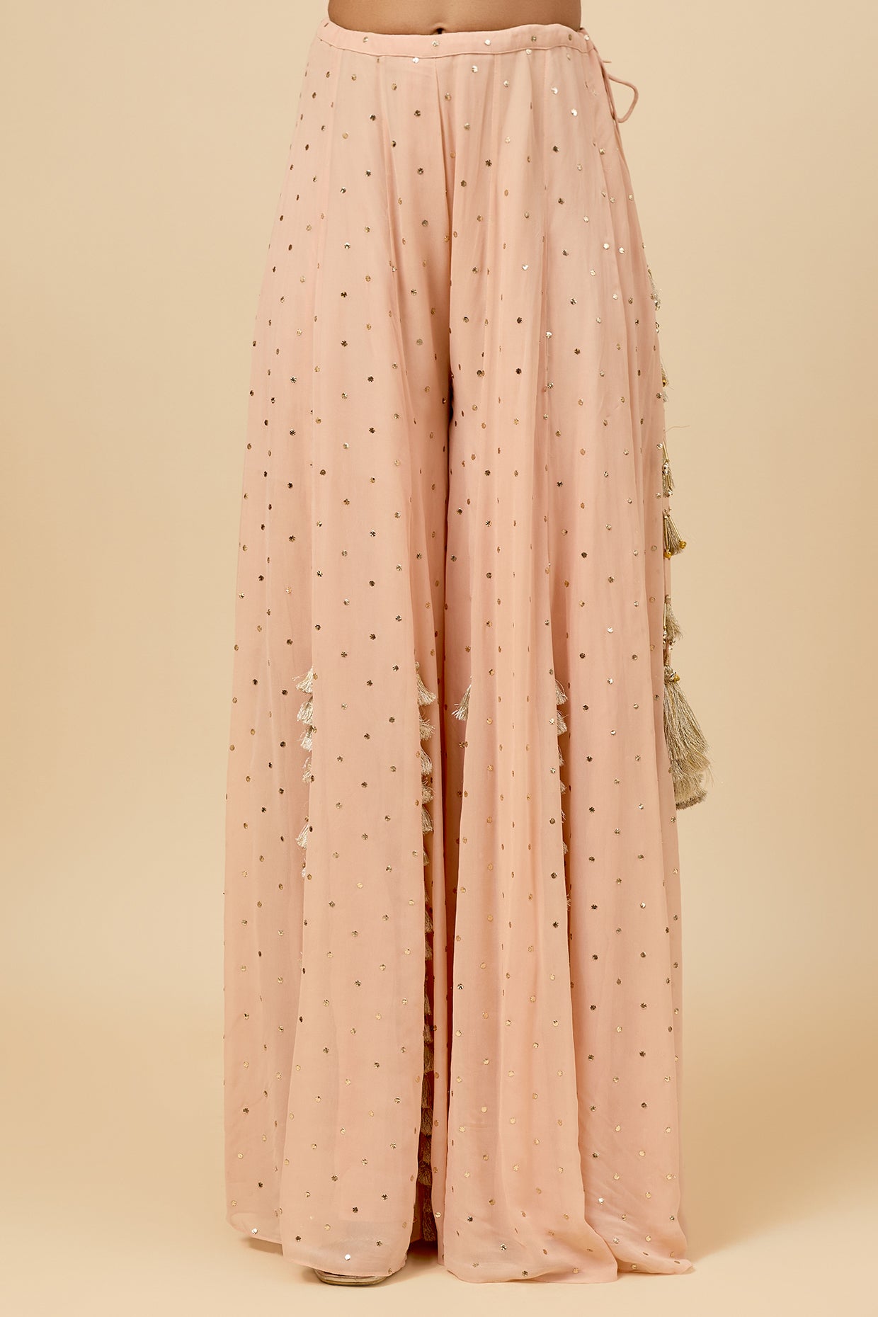 Blush Pink Embroidered Back Tie-Up Choli And Sharara With Dupatta