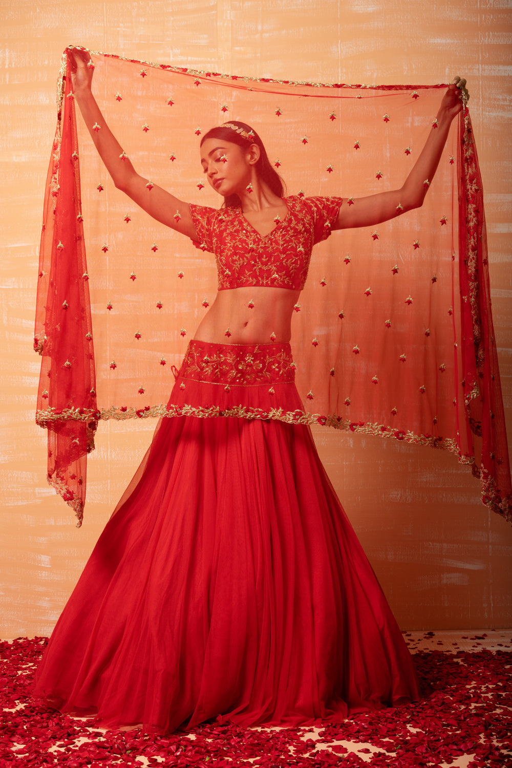 Red Hand Embroidered Net Lehenga Set - Auraya Fashion 