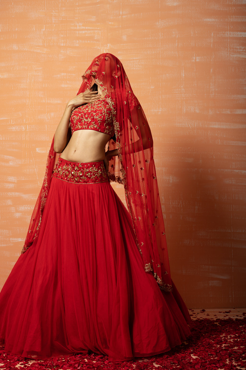 Red Hand Embroidered Net Lehenga Set - Auraya Fashion 