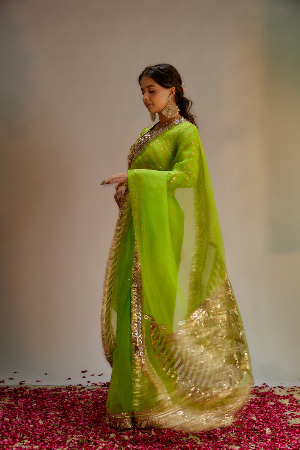 Green Organza Jaal & Lace Hand Embroidered Saree Set