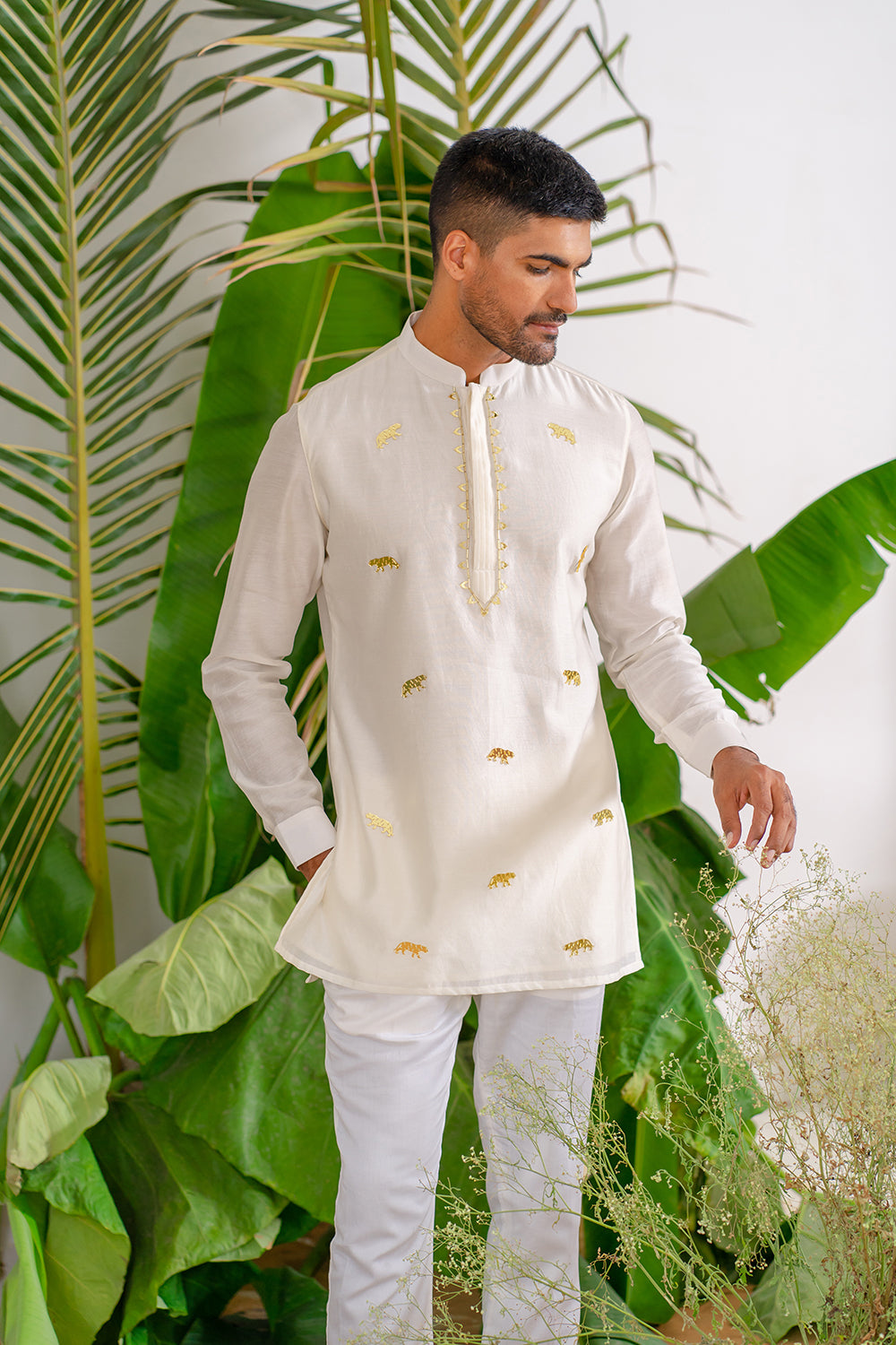 Ivory Tiger Short Kurta Set