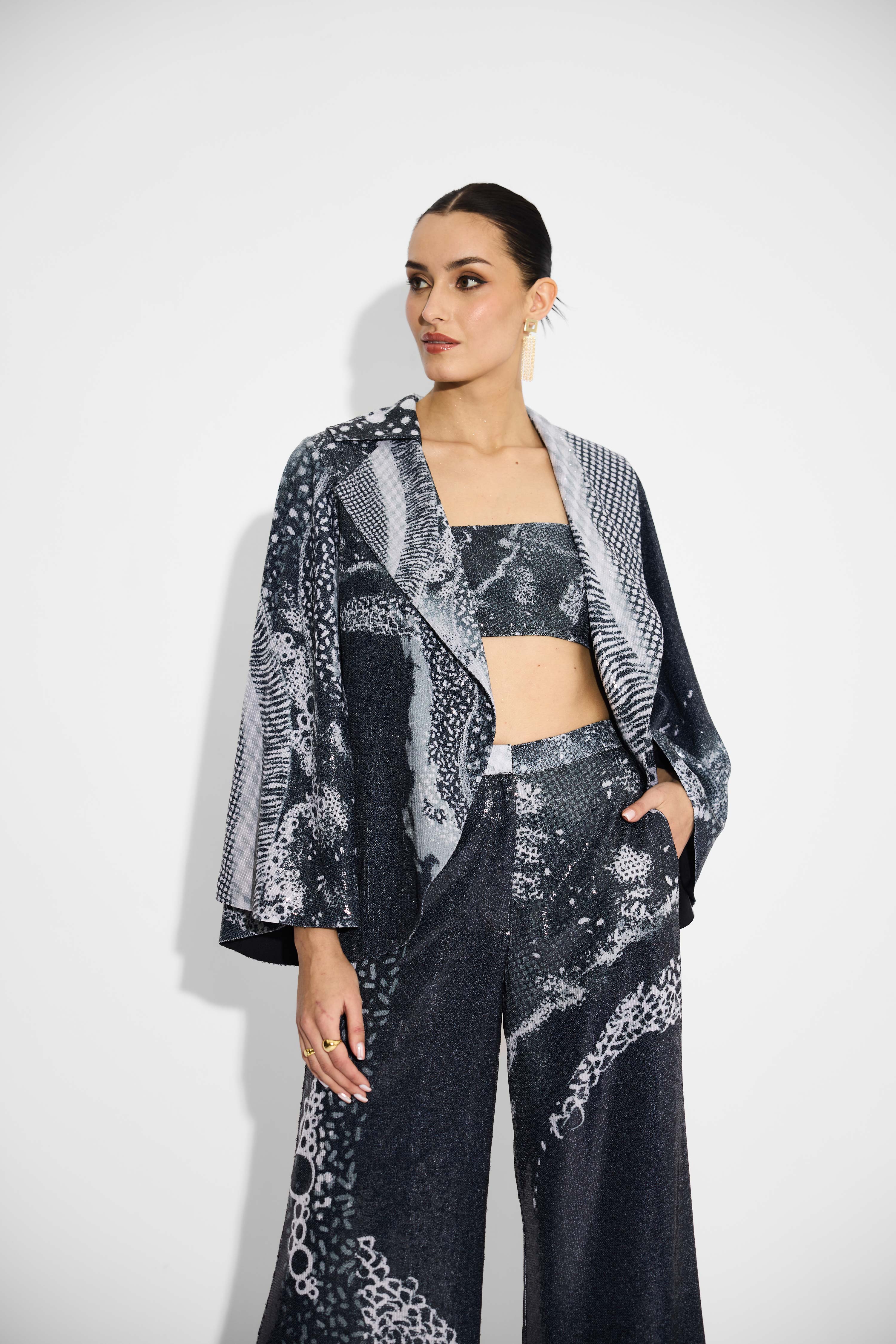 Black Amorprphous Sequins Pant