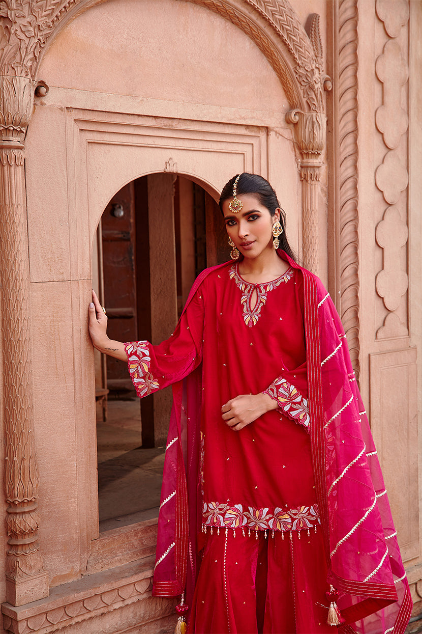 Shazia Rani Pink Velvet Kurta Garara Set With Organza Dupatta