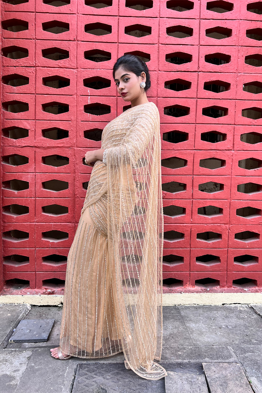 Pre-Draped Saree