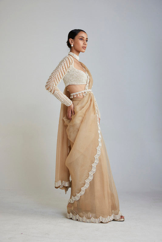 Image of Beige Chandelier Drop Saree Set