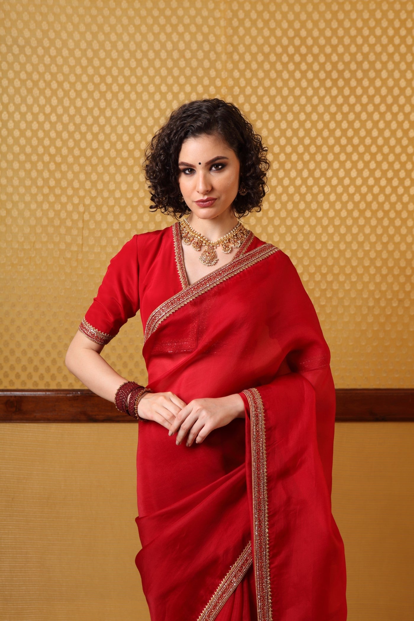 Handembroidered Cherry Maroon Pure Silkorganza Sareeblouse Set