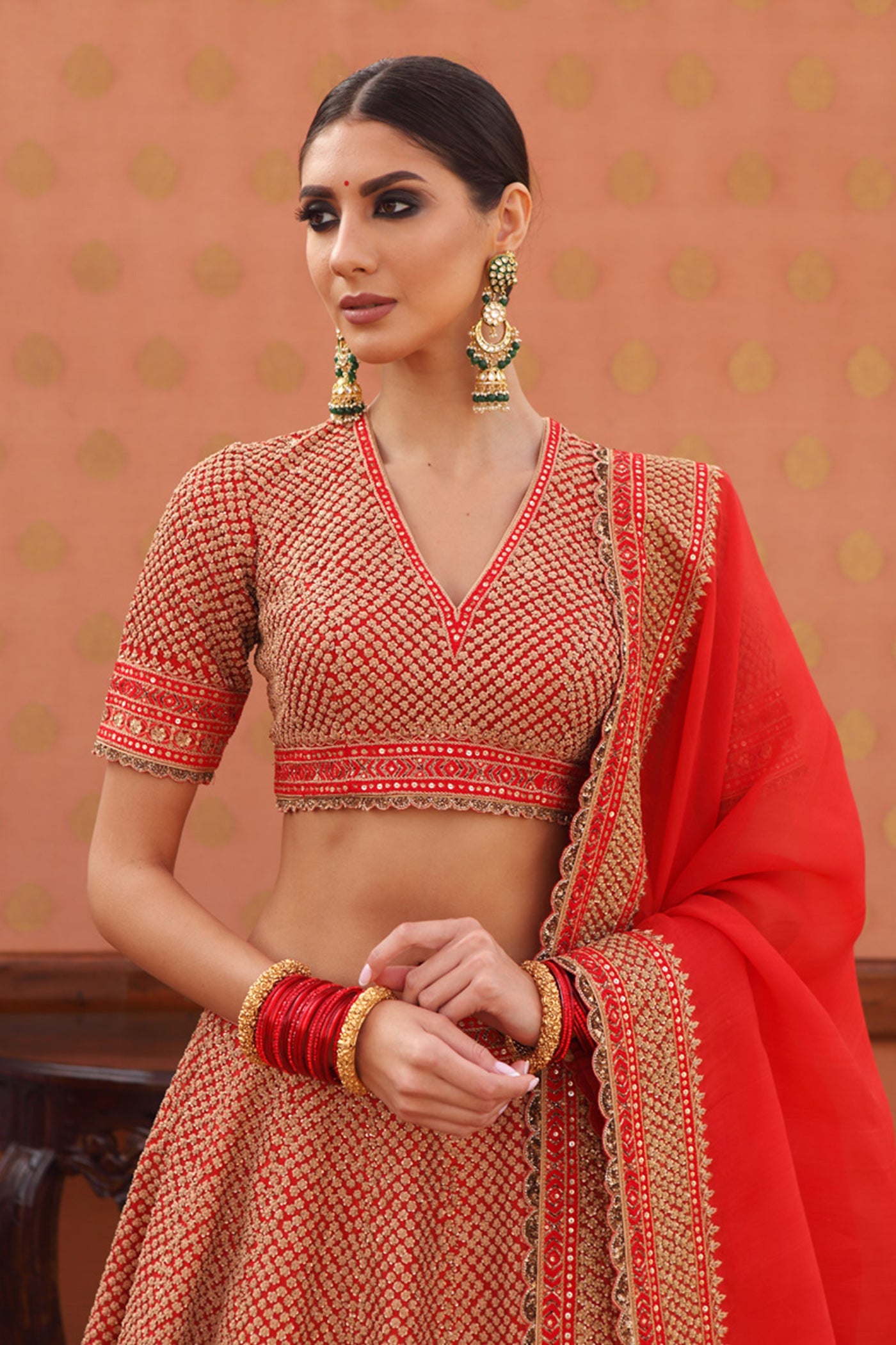 Hand-Embroidered Pure Silk-Organza Sinduri-Red Lehenga-Set