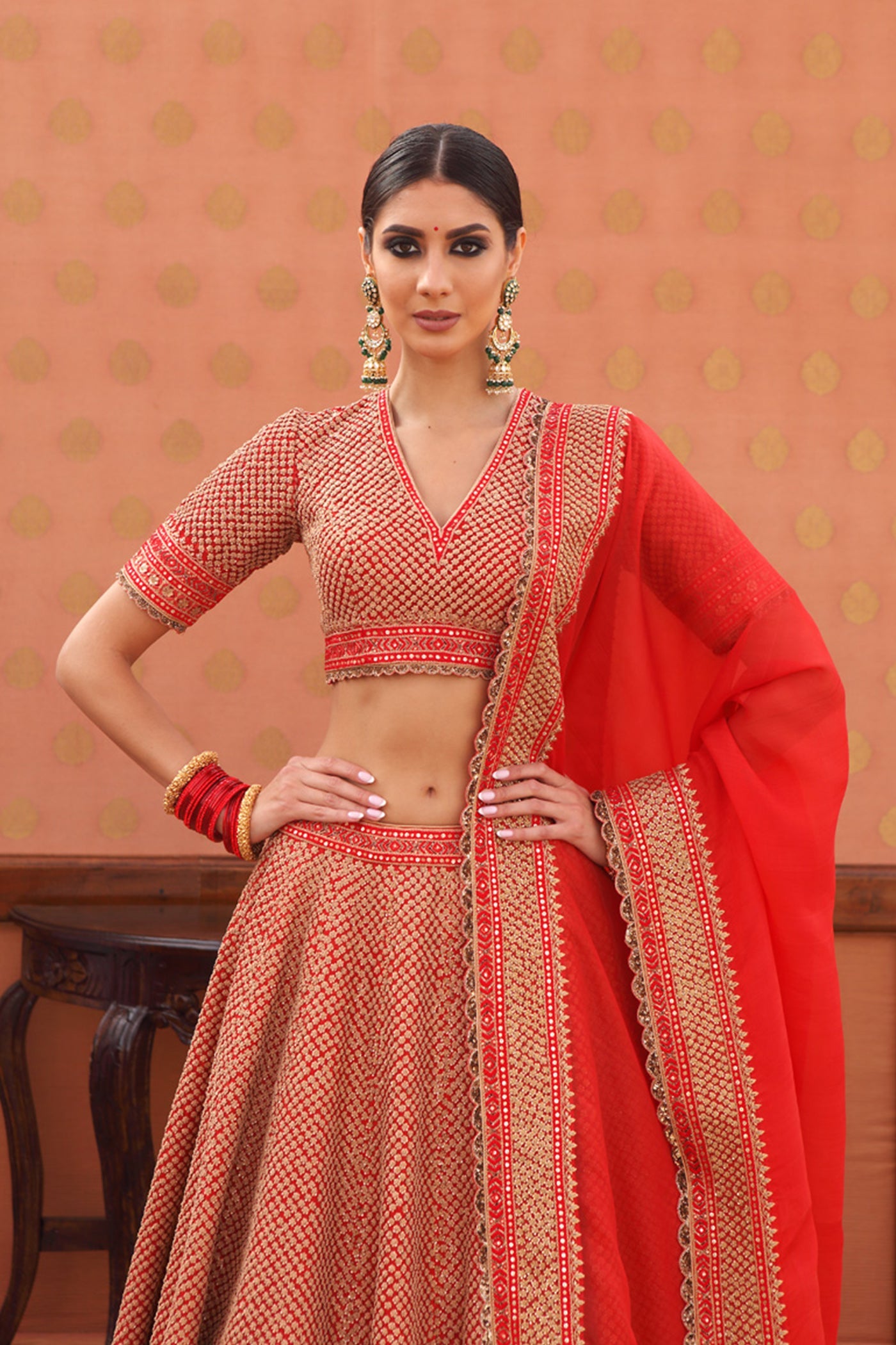 Hand-Embroidered Pure Silk-Organza Sinduri-Red Lehenga-Set