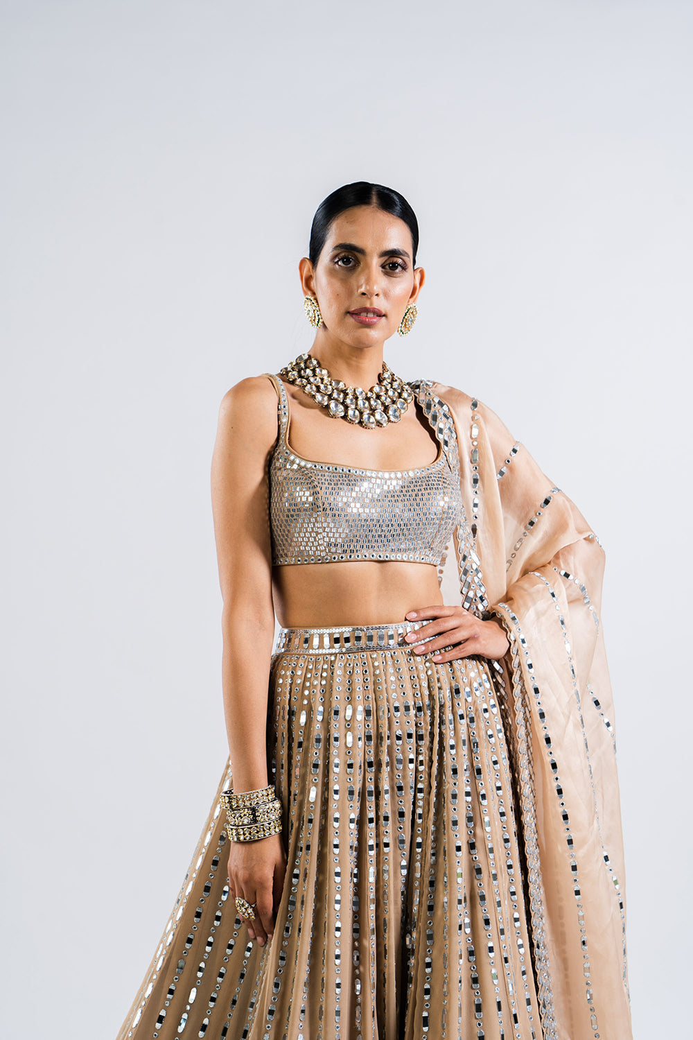 Beige  Linear Drop Lehenga With Metallic Blouse