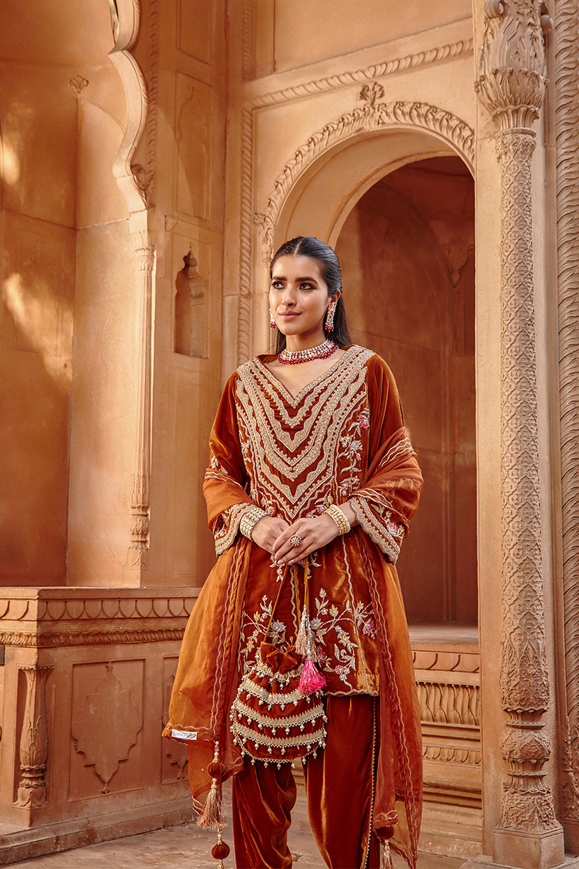 Honey Gold Velvet Kurta with Structured Organza Dupatta - Zahra