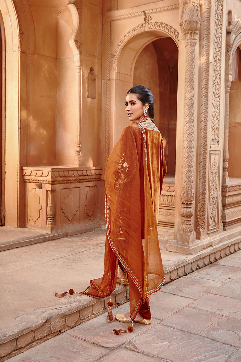 Honey Gold Velvet Kurta with Structured Organza Dupatta - Zahra