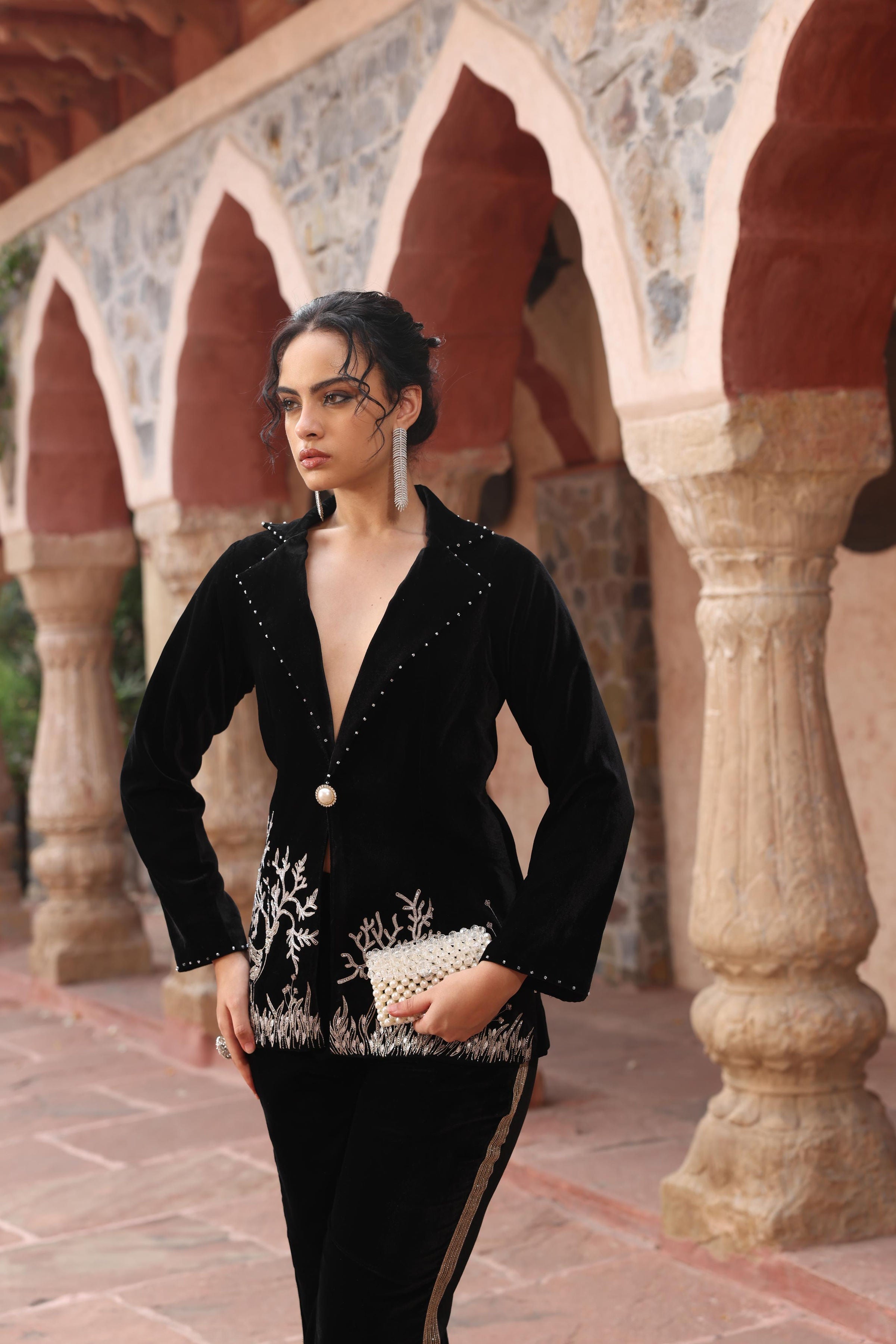 Black Velvet Co-ord Set - Crystal Deer Embroidery Power Suit