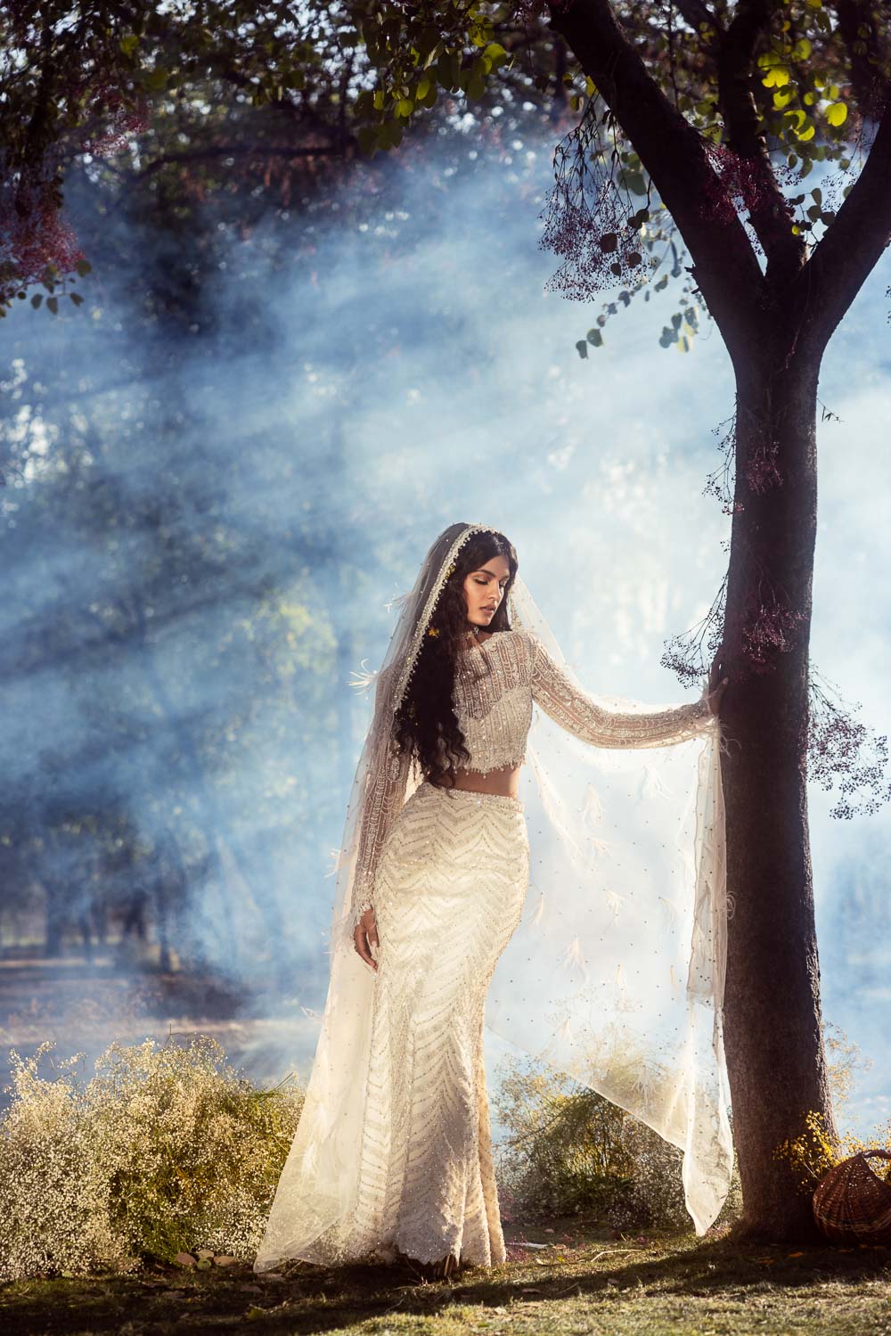 Ivory Beadwork Net Skirt and Blouse Set with Soft Veil